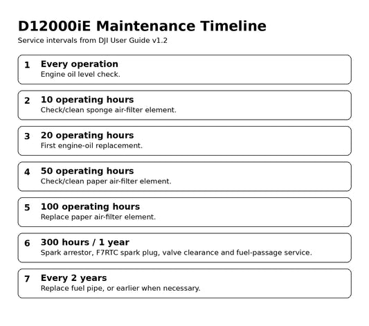 DJI D12000iE maintenance timeline 10 20 50 100 300 hours