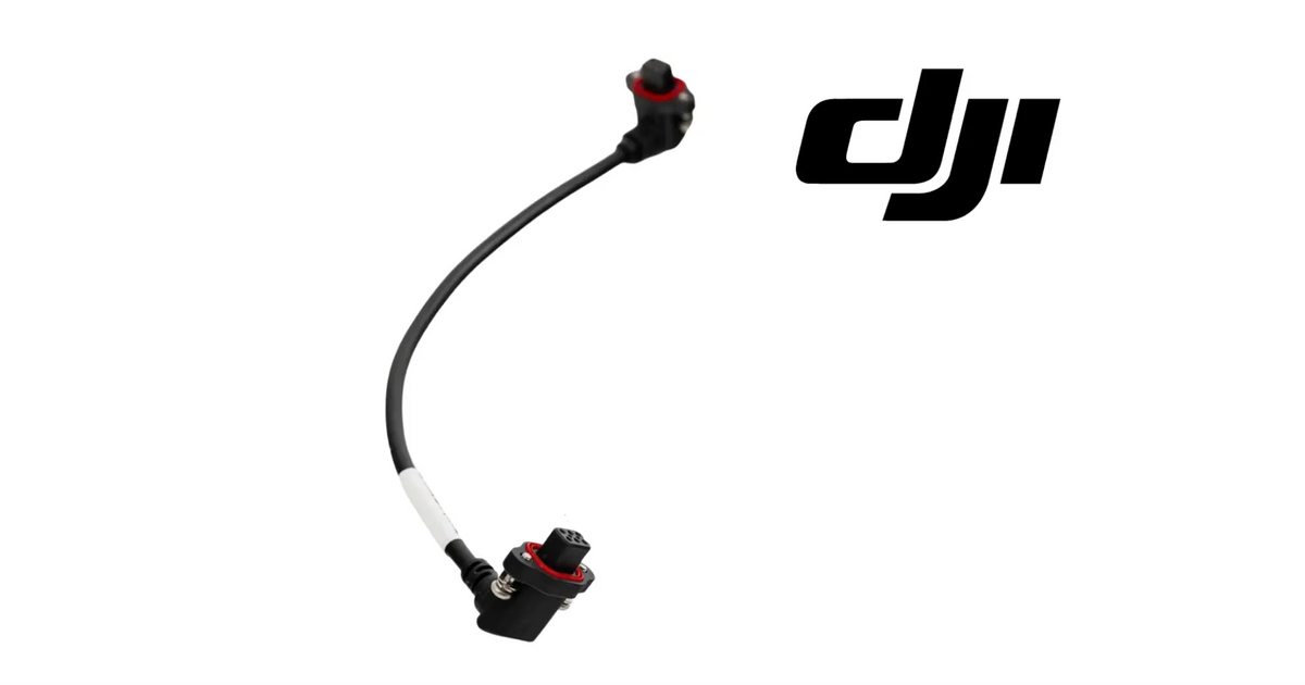 Black spotlight signal cable with two red-ring connector heads along the wire