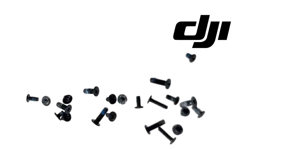 DJI gimbal screw kit with 22 assorted screws and hex bolts, scattered set