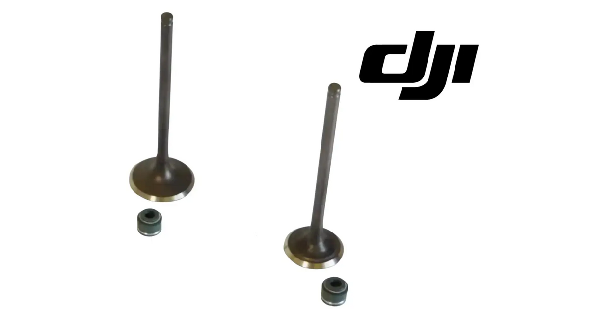 DJI Agras exhaust valve set: two upright bronze valve stems with base collars